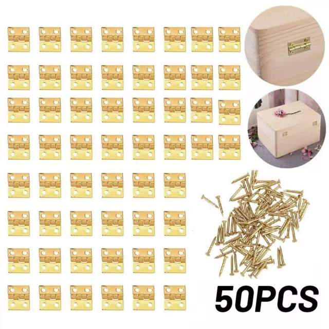 Set Cerniere Ottone Solido Miniatura per Piccoli Artigianato 50pz Argento Oro 8*