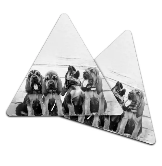 2x Triangle Coaster - BW - Cute Bloodhound Puppies Dog #36475