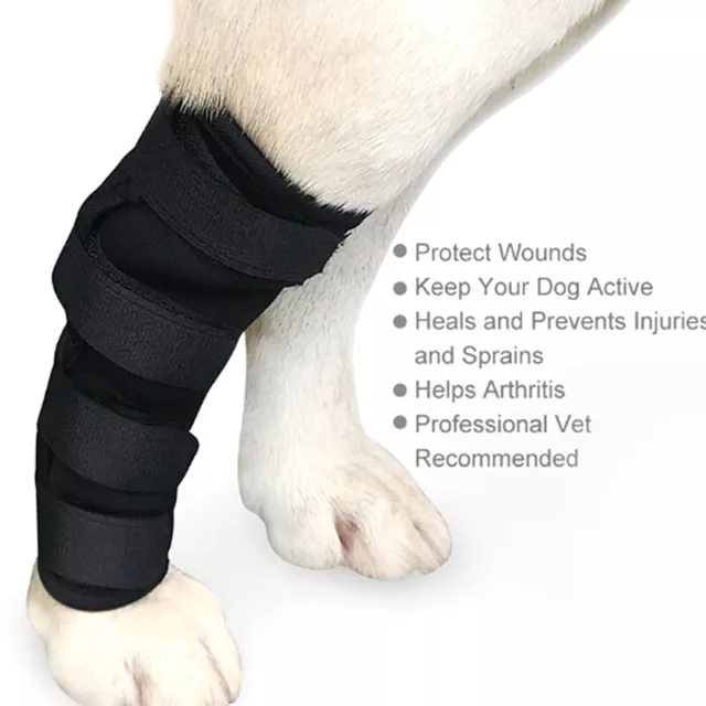 Dog knee support leg protector hock brace rear joint therapeutic pet wrapstrYH