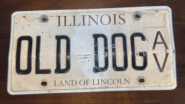 ANTIQUE VEHICLE LATE 90s early 2000 Illinois license Plate AV “ Old Dog