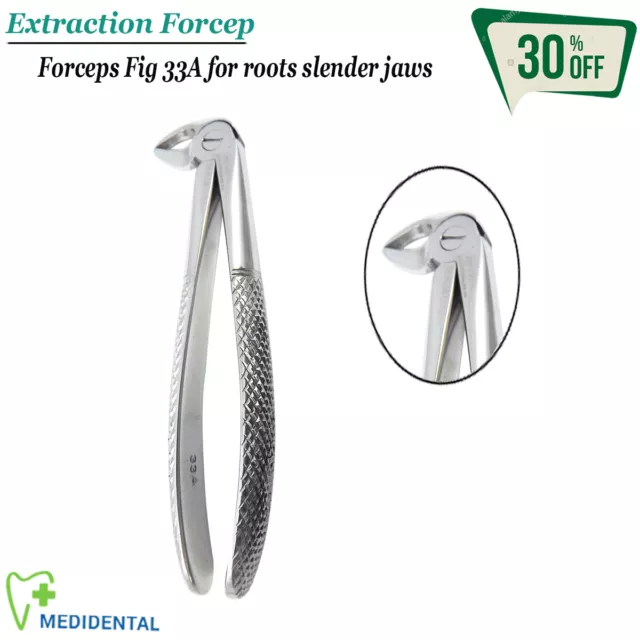 Daviers pour Lower Root Slender Jaw Fig.33A Chirurgicales Extracting Instruments