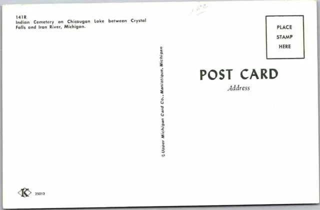 Postcard CEMETERY SCENE Between Crystal Falls & Iron River Michigan MI AM4706 2
