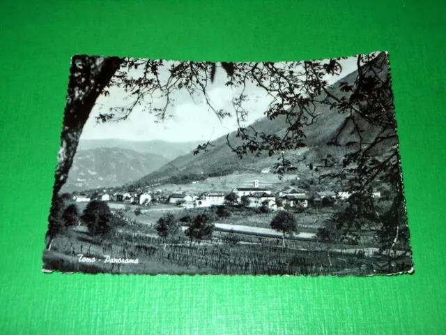 Cartolina Tomo ( Belluno ) - Panorama 1953