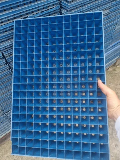 216 Cell Seed Starter Plant Tray - Plastic Reusable Long life (x1 tray)