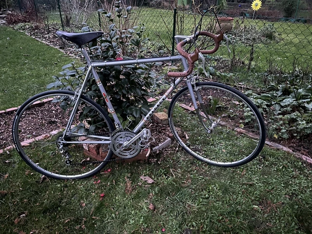 PEUGEOT RENNRAD PRN-10 Reynolds 531 L Eroica Retro Rennrad Klassiker Kult  EUR 395,00 - PicClick FR