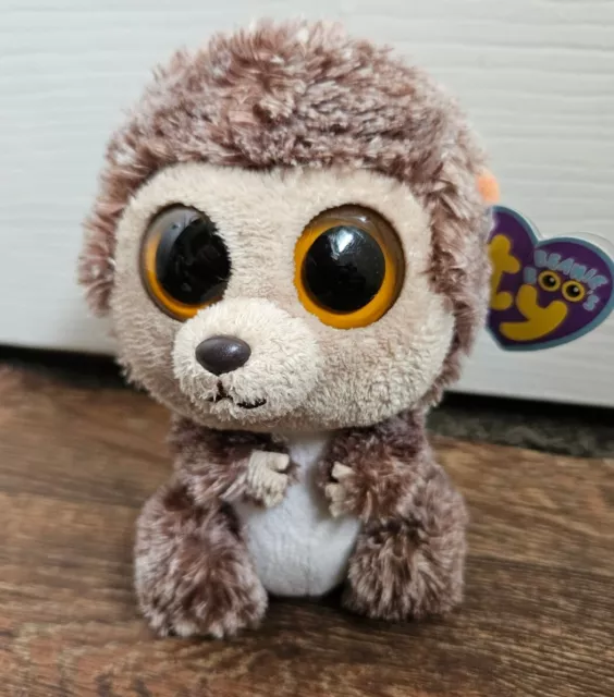 TY Beanie Boos Spike Igel 6" 12. April im Ruhestand seltenes Plüschtier mit Etikett