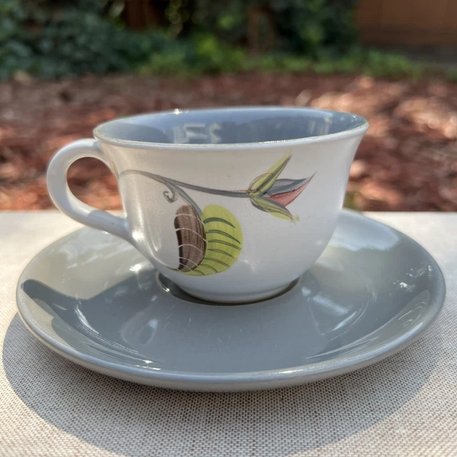 Denby Langley Spring Leaf & Buds Cup & Saucer - Albert College 1958