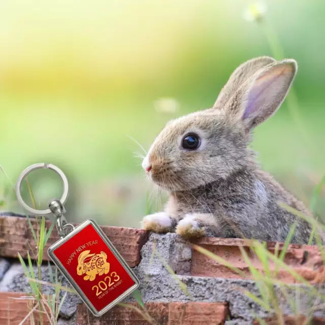 SCHLÜSSELANHÄNGER Happy New Year of the Rabbit 2023 mit Kaninchen Metall Jahr 3