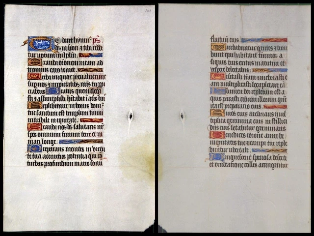 Illuminierte Grafia Su Pergamena Foglia Di Uno Miniatura Um 1500 (076)