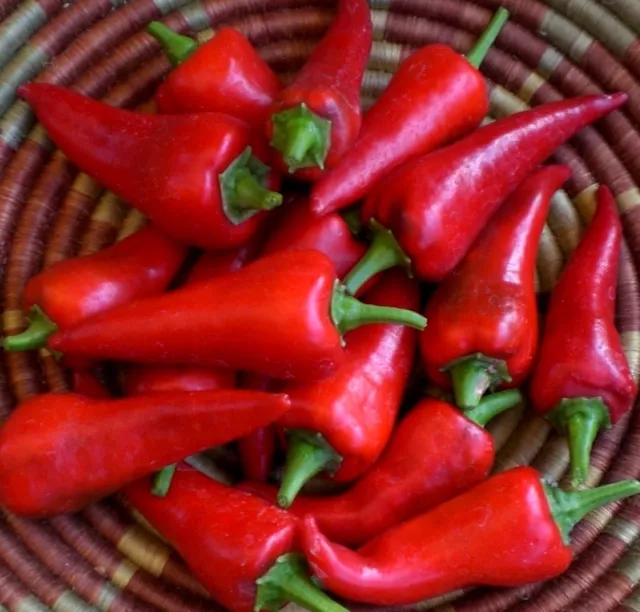 Hot Chilli Pepper Cyklon 50 Seeds