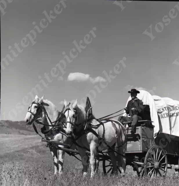 A15 Original Negative  1965 Westernaires Calvary Horse reenactment 835a