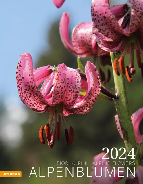 Alpenblumen-Fiori alpini-Alpine flowers. Calendario 2024. Ediz. multilingu...
