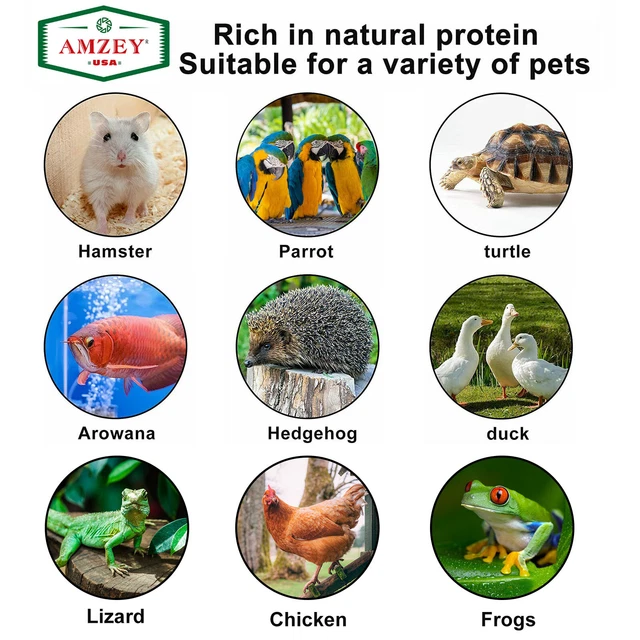 Treat Food For Betta  Cichlid Guppy Fish Duck Goldfish Turtle Tropical food