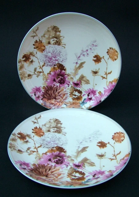 TWO Marks & Spencer Painterly Floral 8592  Salad Starter Dessert Plates 21.5cmw