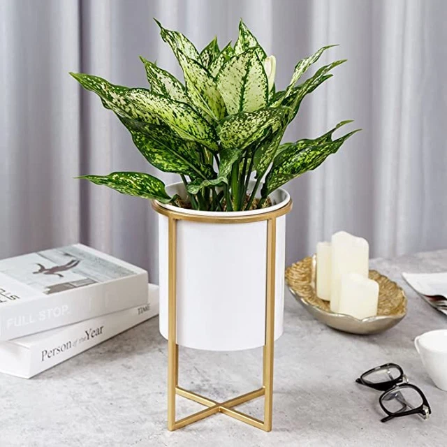 6 Inch Round White Metal Planter Pot with Gold Metal Wire Plant Riser Stand