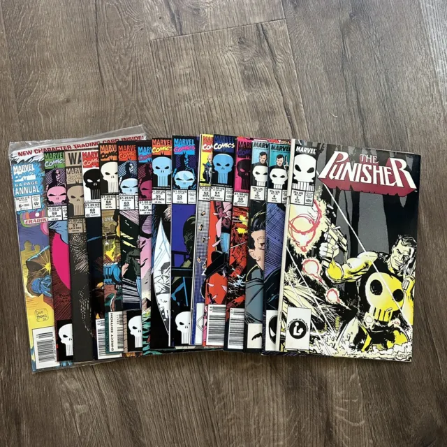 The Punisher Lot (15 Comics)