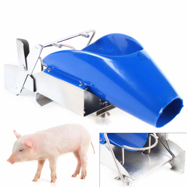 Piglet Castration Rack Stainless Bracket for Small Pig/Hog Castration Operation