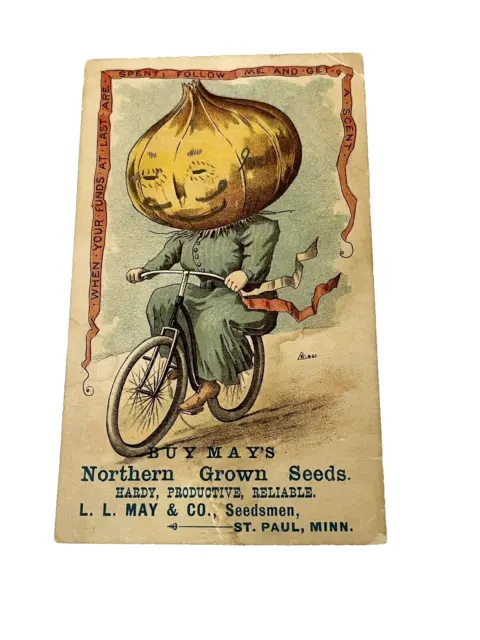 May's Northern Grown Seeds St. Paul MN Late 1800 Trade Card Onion Vegetable Head