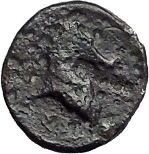 PHARSALOS in THESSALY 400BC Athena Horse Authentic Ancient Greek Coin i49215