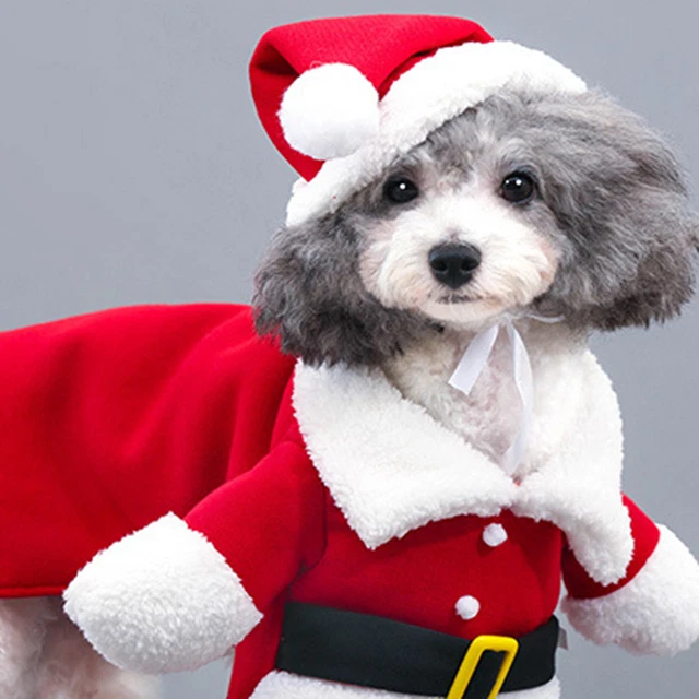 Nuovo pacchetto di trasformazione per animali domestici invernali Vestiti D7L1 4