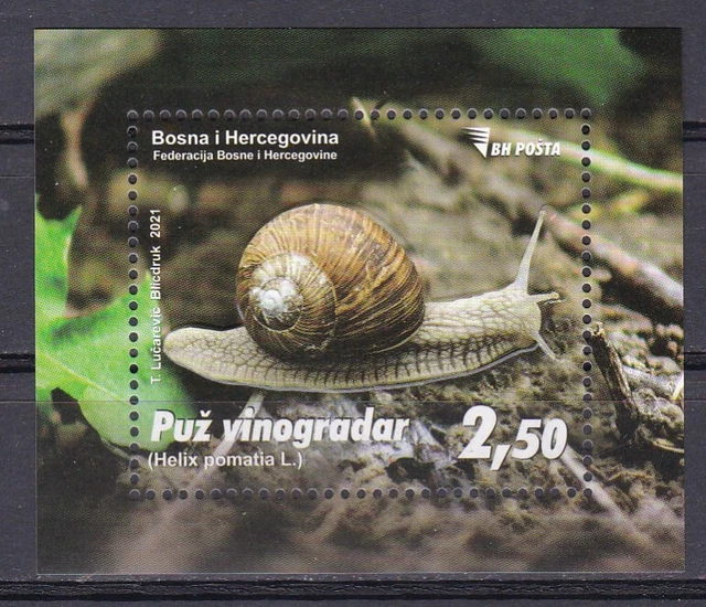 Bosnia & Herzegovina, Fauna, Snails MNH / 2021