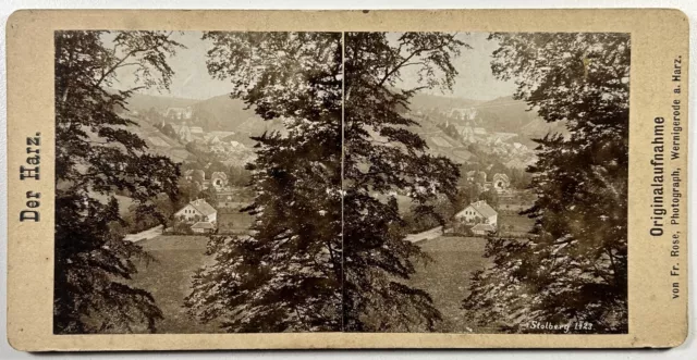 Deutschland Stolberg Bäume Landschaft c1890 Foto Stereo Vintage Citrat