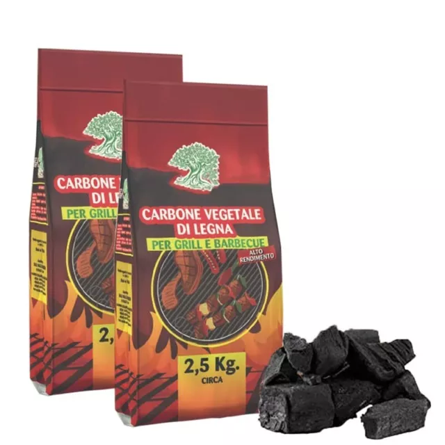 Carbonella per Barbecue 2 SACCHI DA 2,2 KG BBQ CARBONE VEGETALE DI LEGNA GRIGLIA