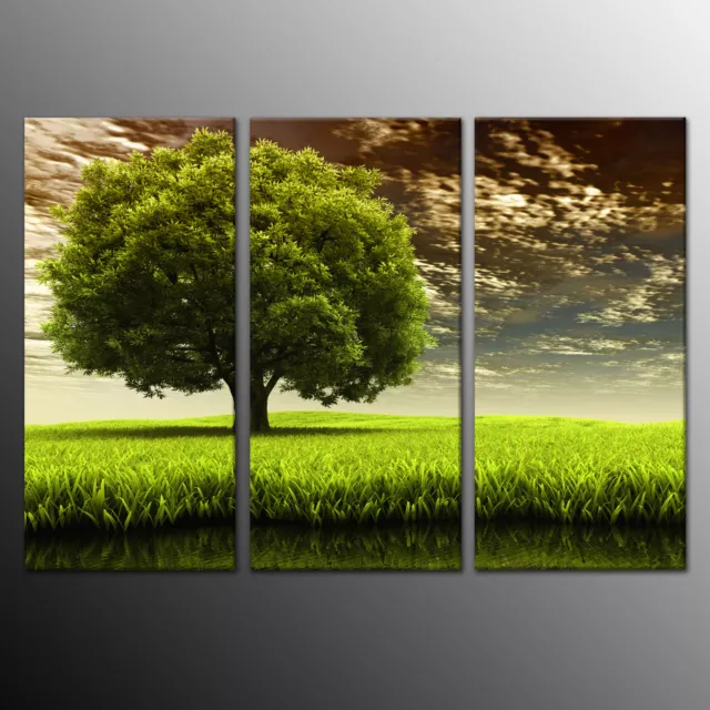 Canvas Print Modern Home Decor Wall Art Painting Green Tree Picture 3pc-Framed