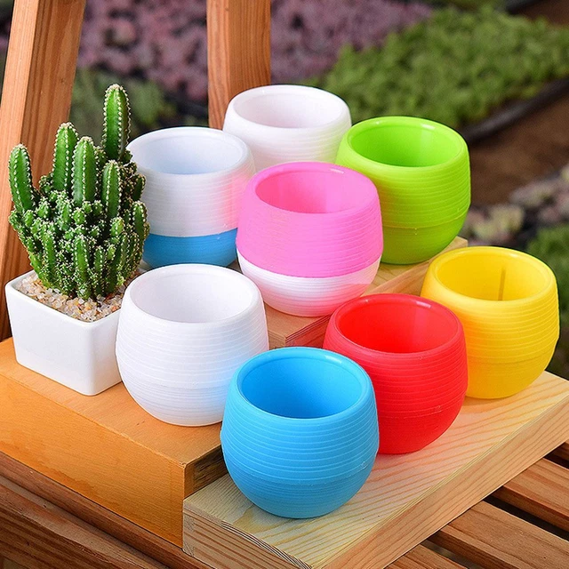 d'usine Accueil Plastique Pot de fleur Pot de Plante Planteurs Boîte succulente