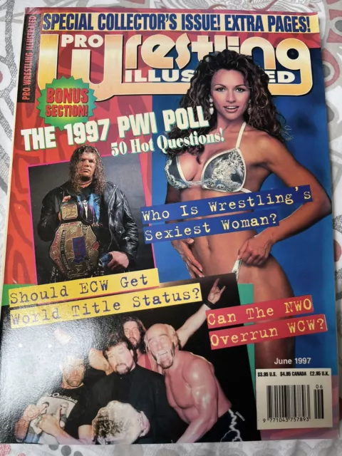 Pro Wrestling Illustrated June 1997 WWF WCW Raven Hulk Hogan