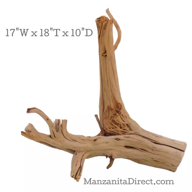 Manzanita Driftwood Stump, Aquarium or Reptile Decor from ManzanitaDirect 0320-9