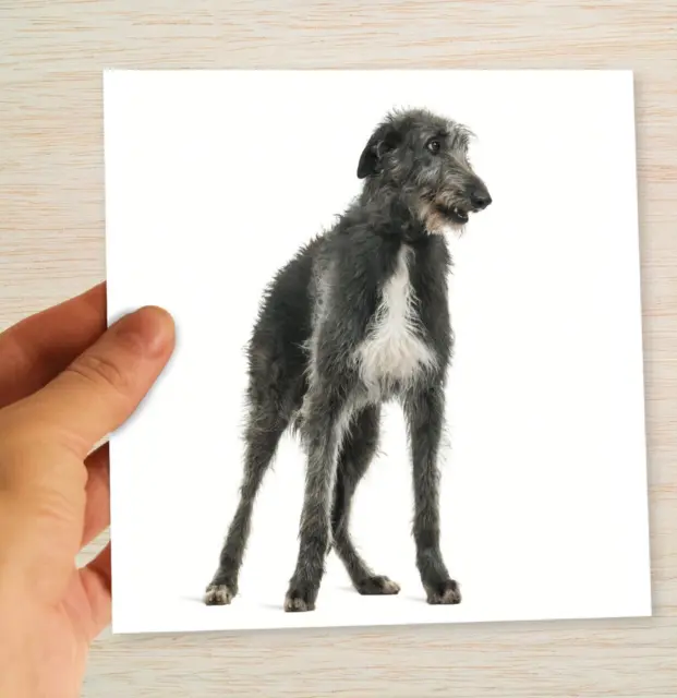 Scottish Deerhound Birthday Blank Card Dog suit Husband Wife Son Brother Sister
