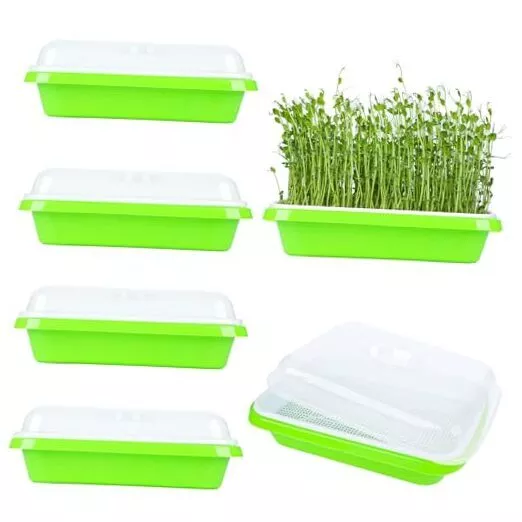 Seed Sprouting Tray Microgreens Growing Trays with Lid Wheatgrass Grower Seed