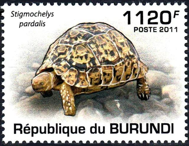 Burundi postfrisch MNH Schildkröte Reptil Pantherschildkröte Landschildkröte/142