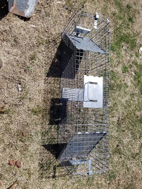 HAVAHART LARGE  ANIMAL TRAP- 1 Piece 2 door 41 "X 10" X 12" used very good cond.