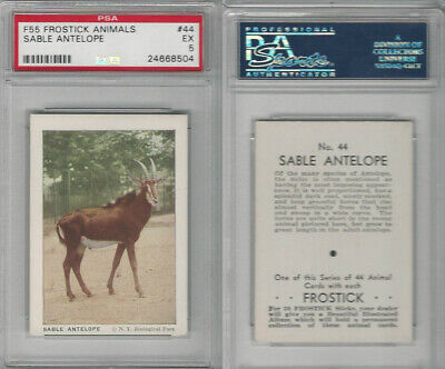F55 Frostick, Animal Cards, 1933, #44 Sable Antelope, PSA 5 EX