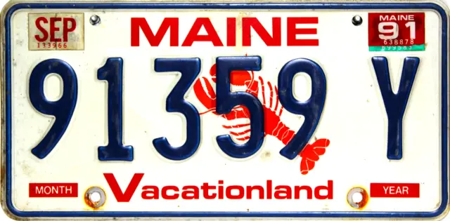 Maine Lobster License Plate USA 91359Y Originalbild