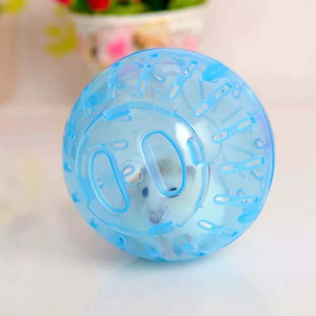 Pet Hamster Ball Toys Exercise Running Balls for Chinchilla Rat Mouse Produ-7H