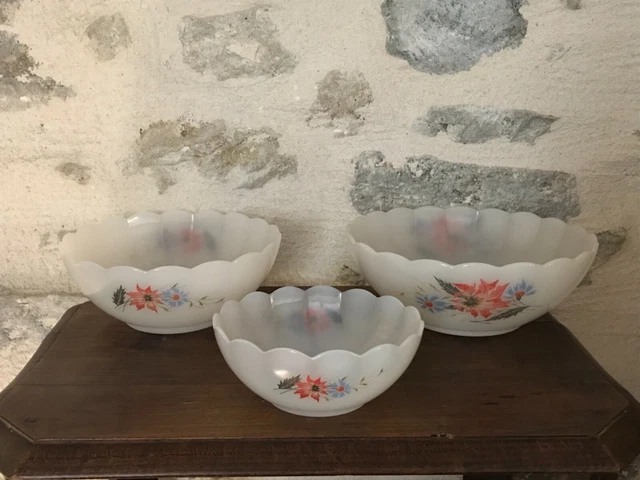 Lot De 4 Saladiers DURALEX Gigognes Empilables - Motifs Fleurs Rouges Et Bleues