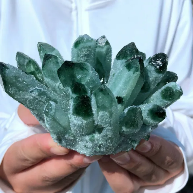 New Find Green Phantom Quartz Crystal Cluster Mineral Specimen Healing300g+/1pcs 6