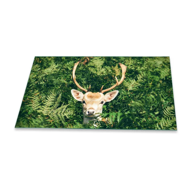 Placa de cubierta de cocina Ceran 90x52 ciervo verde cubierta vidrio protección contra salpicaduras cocina decoración