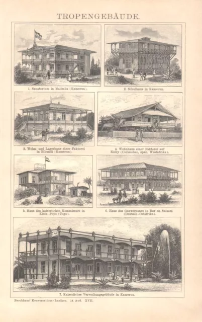 Deutsche Kolonien Ostafrika  Tropengebäude  Afrika Kamerun Togo Holzstich 1897