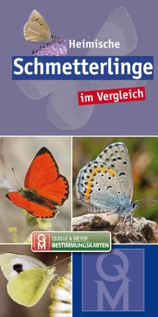 Heimische Schmetterlinge im Vergleich | 10er-Set | Quelle & Meyer Verlag | Buch