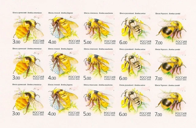 Russia 2005 Sheet Minr : 1266 - 70 Imperf Flora Fauna Insects Bumble Bumblebee