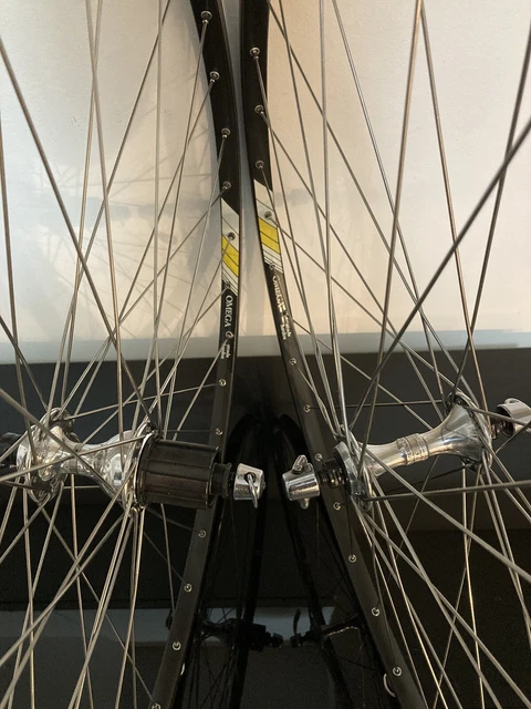 贈答品 Campagnolo Ambrosio Crono - Veloce 10S ekkocameroun.com