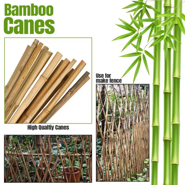 Bamboo Garden Canes Plant Support Sticks Heavy Duty Thick Wooden Quality Stakes 3