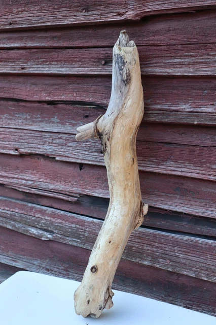 19x5x3" Driftwood Freshwater Untreated Terrarium Aquarium Crafts #15