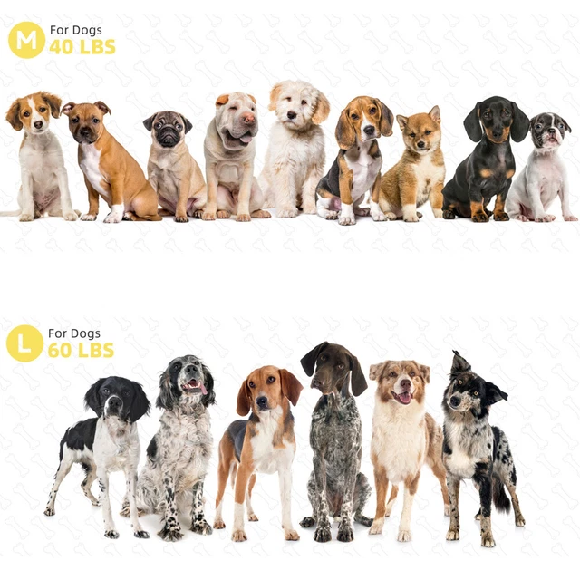Super Soft Small Medium Large Jumbo Dog Bed Orthopedic Memory Foam Pet Mattress 11