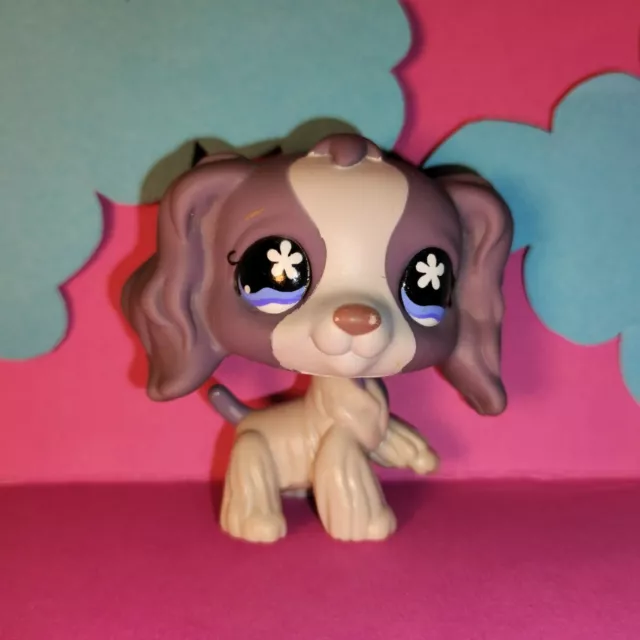 Littlest Pet Shop LPS 672 - Authentic Spaniel + Additional random Pets Included!