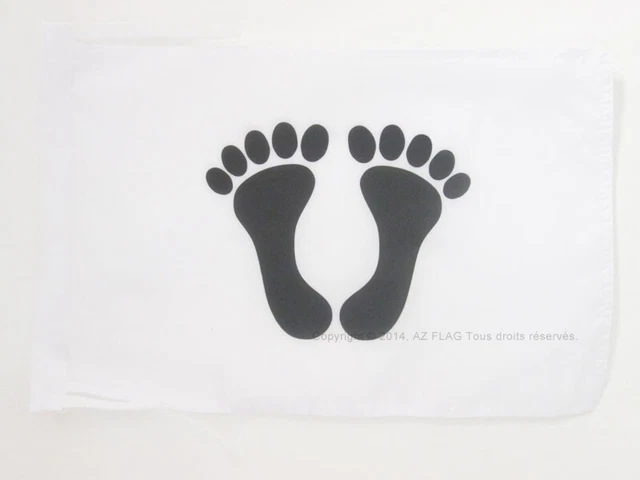 DRAPEAU FRANÍ?AIS D'ALGÍ?RIE 45x30cm - PAVILLON DES PIEDS NOIRS 30 x 45 cm haute